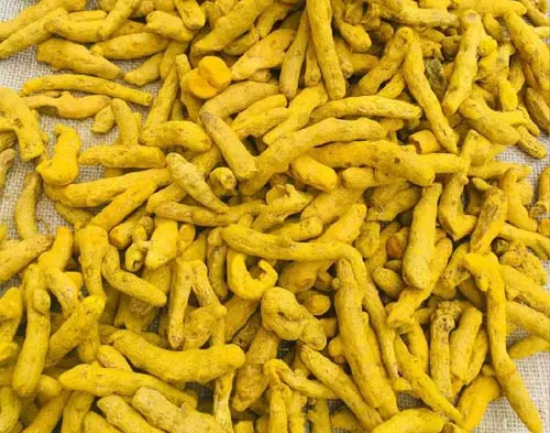 Turmeric